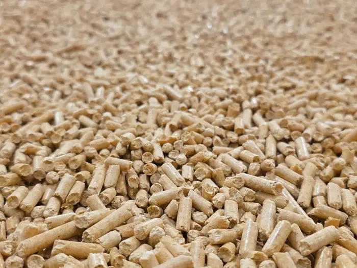 Pellet drzewny z bliska